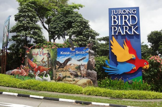 Educational Trip to Jurong Bird Park